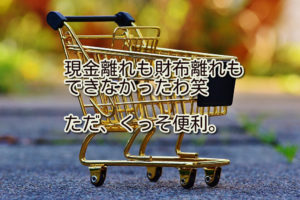 PayPayを始めて使ってみた日。便利だけど財布レスできんかった。