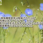 安倍総理『緊急事態宣言解除!だがしかし気を付けろ。』