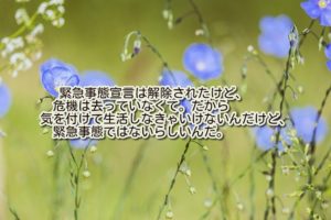 安倍総理『緊急事態宣言解除!だがしかし気を付けろ。』