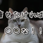 痩せたければ〇〇な！2ヶ月で4.5キロ痩せたよ [7月]