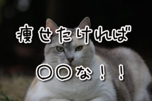 痩せたければ〇〇な！2ヶ月で4.5キロ痩せたよ [7月]
