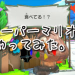 ペーパーマリオの冒頭だけやってみた。