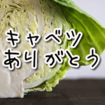 ついに92キロ台に!今回のMVPは『キャベツ』