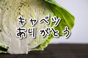 ついに92キロ台に!今回のMVPは『キャベツ』
