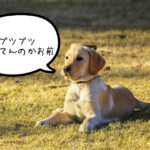 長く続けたいのに途中でどうでも良くなるの、なんでだろう【真夜中の独り言#5】