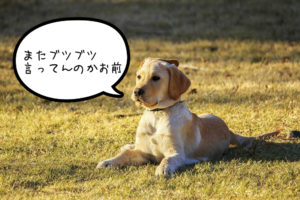 長く続けたいのに途中でどうでも良くなるの、なんでだろう【真夜中の独り言#5】