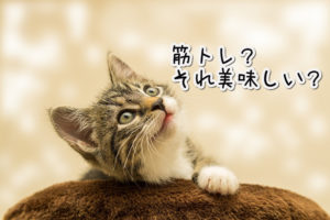 筋トレしたあとに起こるアレ【真夜中の独り言#4】