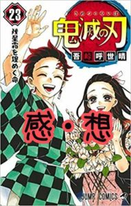 鬼滅の刃23巻読破!未回収の伏線けっこうあるよね(ネタバレあり)