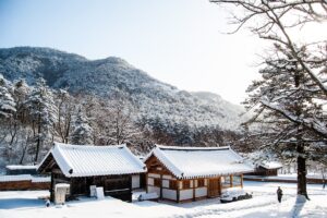 『自慰強要はいじめではない』by 旭川の中学校長