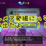 【ドラクエ10】毒耐性100%を求めてゼルメアに入り浸るの巻。