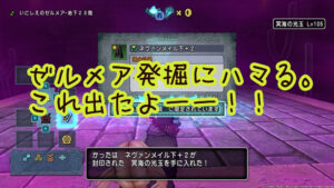 【ドラクエ10】毒耐性100%を求めてゼルメアに入り浸るの巻。