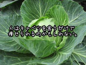 人はキャベツを食うだけで痩せられるのかもしれない。