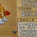 【ドラクエ10】キラーパンサーを仲間にする方法。奇跡が起きたわ。