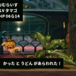 ドラクエ10『Twitterで仲間募集してみたら、うどんとオムライスが美味しかった話。』