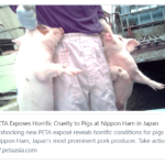 【動画】『肉を食うとは、こういう事』【PETA 日本ハム】真夜中の独り言 #89