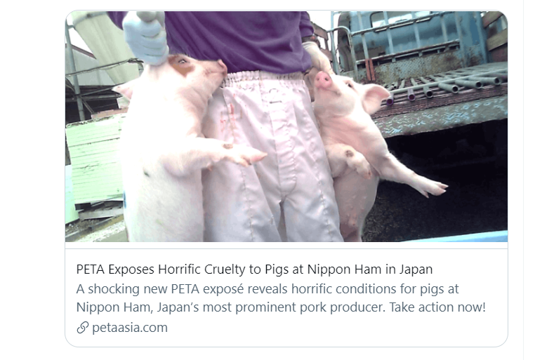 【動画】『肉を食うとは、こういう事』【PETA 日本ハム】真夜中の独り言 #89