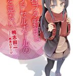 青春ブタ野郎シリーズ(小説)がkindleサブスクにラインナップ