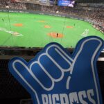 日ハム初観戦の驚きポイント。レバンガ北海道と比較。