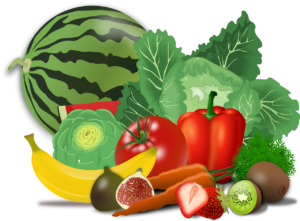 野菜を生で食べてもそんなにイイことない新常識→「人間はがんになるのに、どうして植物はがんにならないのだろうと思ったことがある」