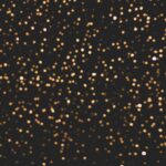 『一人の夜の独り言』真夜中の独り言 #295