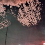 『10年に一度の大寒波を北海道民がレビューするの巻。』真夜中の独り言 #309