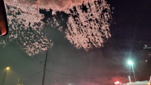 『10年に一度の大寒波を北海道民がレビューするの巻。』真夜中の独り言 #309