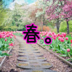 『一番好きな季節が終わった』真夜中の独り言 #363