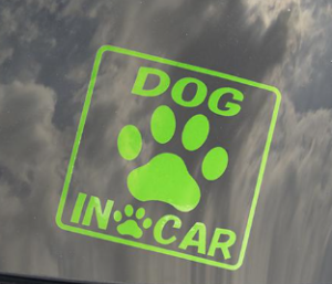 『〇〇 in Car ってそういう意味なんだ』真夜中の独り言 #369