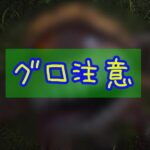 【リスキーモブ】FF16のモンスターがグロい件。【FF16 プレイ録】