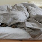 『一日の生活を真逆にするのもアリかもしれないな』真夜中の独り言 #414