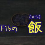 【FF16 】まさかの食事事情。FF16の世界の人、アレ食ってた。【プレイ録】クエェ……