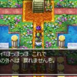 「ブライが泣いた日。誘拐犯から無期限の命がけの子守り。」ツッコミながらドラクエ4を進めるブログ記事。7