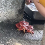 『生肉を公園でジャブジャブ→地面に重ね起き。これ何に使う肉でしょうか!??』真夜中の独り言 #424