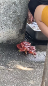 『生肉を公園でジャブジャブ→地面に重ね起き。これ何に使う肉でしょうか!??』真夜中の独り言 #424