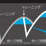 【筋合成×72時間】で検索してみた。効率よく体を鍛えるの回。真夜中の独り言 #430