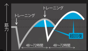 【筋合成×72時間】で検索してみた。効率よく体を鍛えるの回。真夜中の独り言 #430