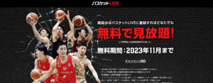 【11月まで無料】Bリーグが開幕するよ!野球終わったらバスケ観ようぜ。アメリカでは野球よりバスケ人気の方が高いって知ってた?