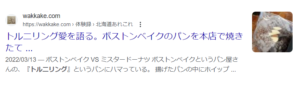 【ブログ記事】初めての検索上位第一位は、トルニリングだった。真夜中の独り言 #472