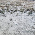 『冬はじまっちゃったなー。なぜか冬の方が規則正しい生活なんだよな。』真夜中の独り言 #516