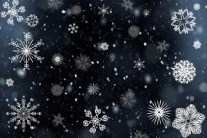 『雪虫は雨で死ぬのかな。恵みの雨になればいいな、札幌。』真夜中の独り言 #495