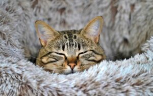 『理不尽を継承し続けるのが嫌いなのだよ。』真夜中の独り言 #527