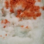 『お粥におかずは要らないのかもしれない』真夜中の独り言 #615