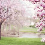 『3月になると、春のニオイ。これわかる?』真夜中の独り言 #611