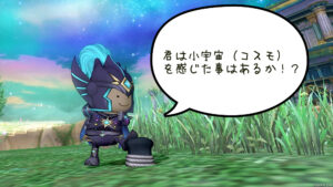 「断捨離したのでファッションショーを開催する」ドラクエ10・アストルティア旅日記