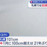 ドカ雪奮闘記。なんぼなんでも降りすぎだろ、雪。札幌