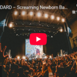 ハイスタ、ライブ前の予習