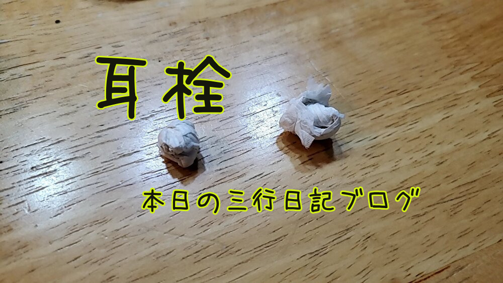 耳栓をしてお風呂に入った ・三行日記を始めた理由 ・PSの公式番組がディスクレス反対派に荒らされててニヤついた